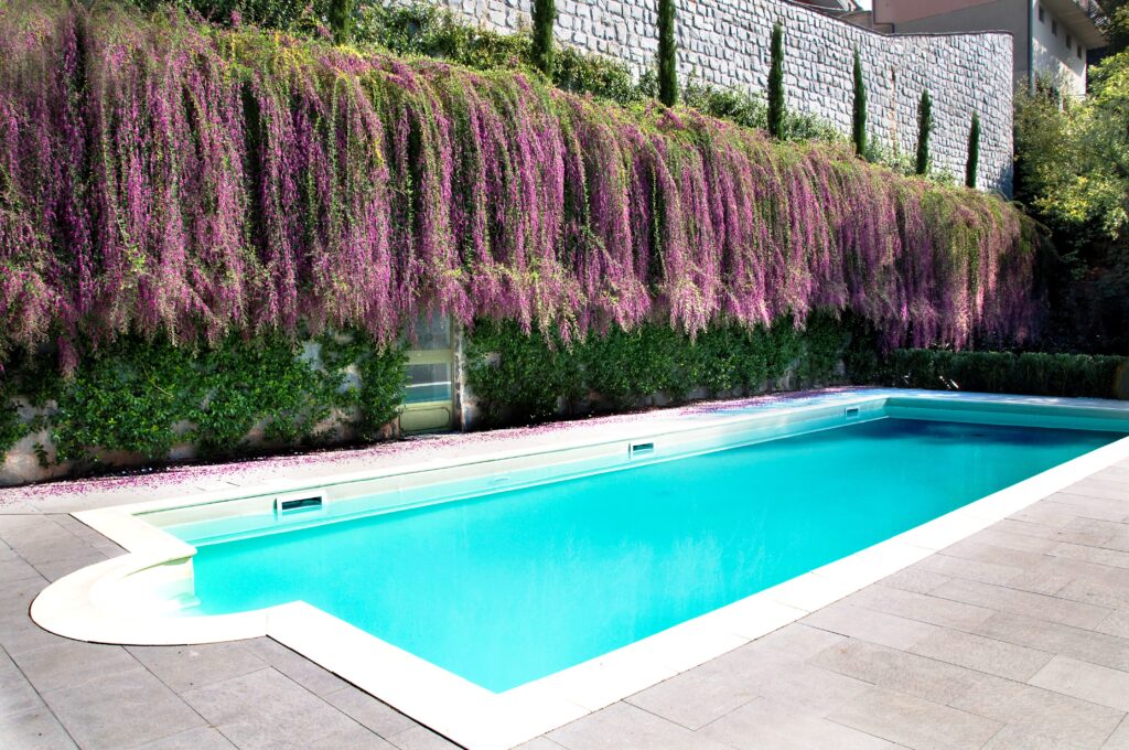 Foto varie giardini (68)
